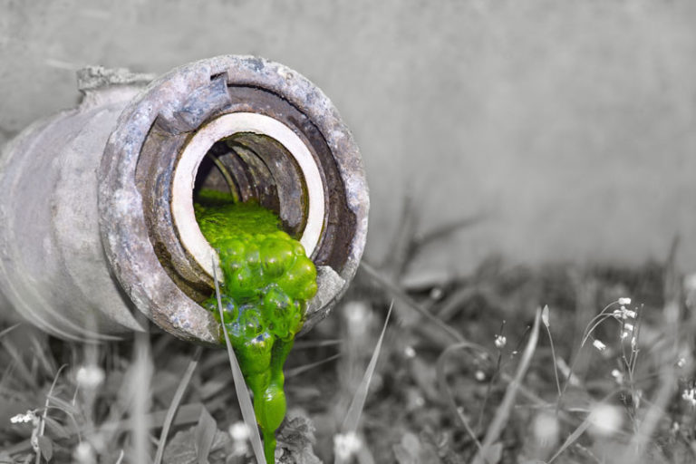 Proactive Plumbing sewer ba